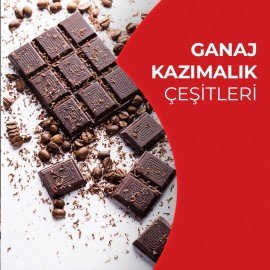 Ganaj Kazımalık Çeşitleri